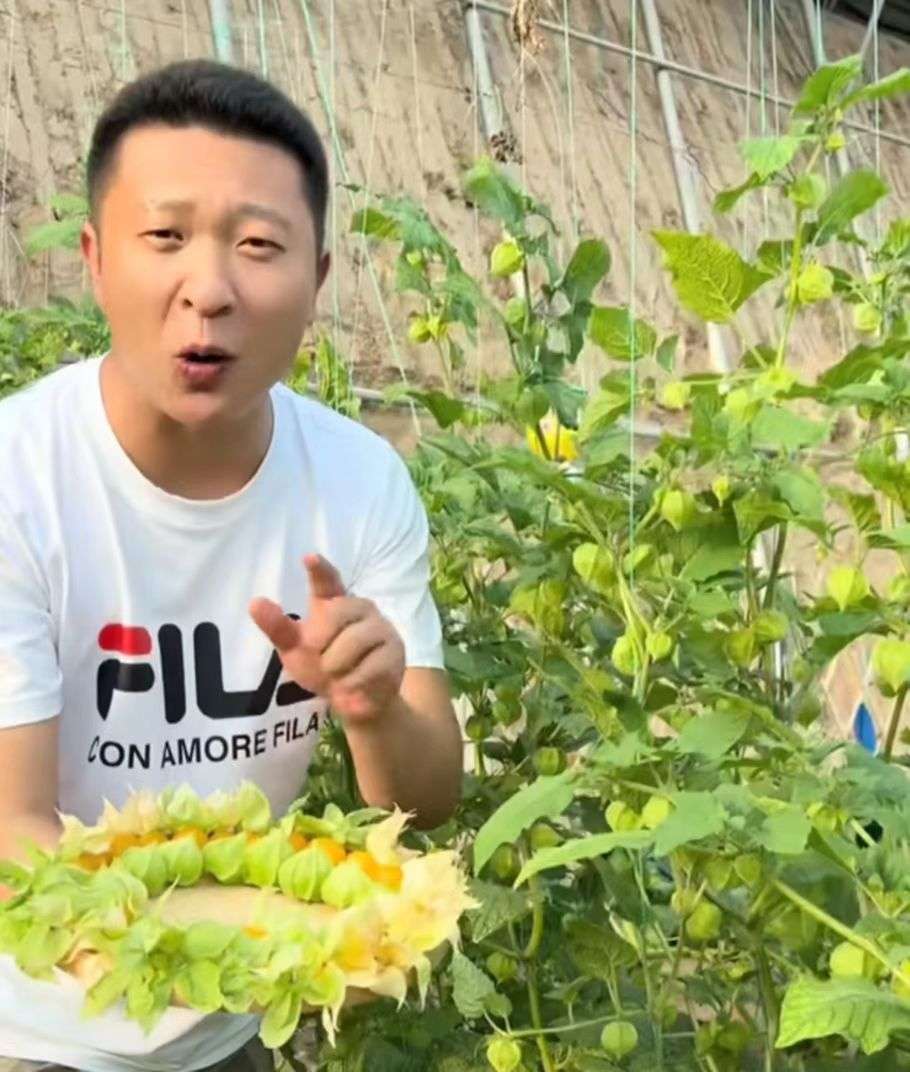 90后辞掉月薪5000的工资回家种地,90后返乡种地年入百万