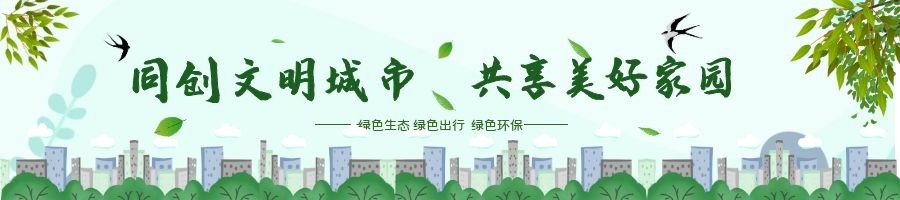 街道党建网格化治理方案,党建引领全科网格基层治理