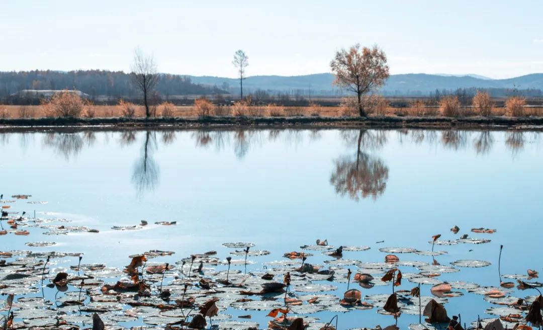 100篇美到极致的古文,10篇最美古文