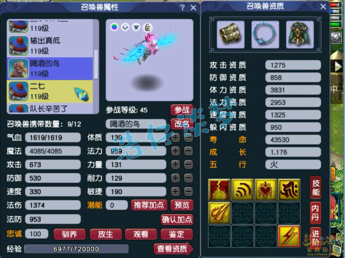 梦幻西游:109凌波城,靠百套装备拿英雄会探花,凑齐愤怒5特技!