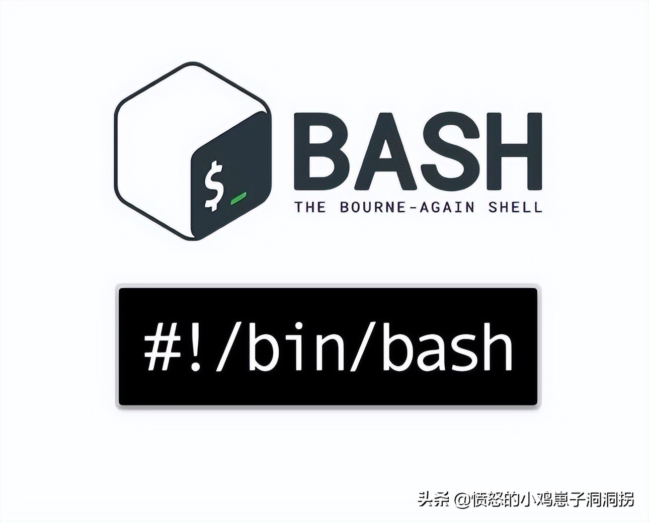 linuxshell命令,shell脚本实操100例