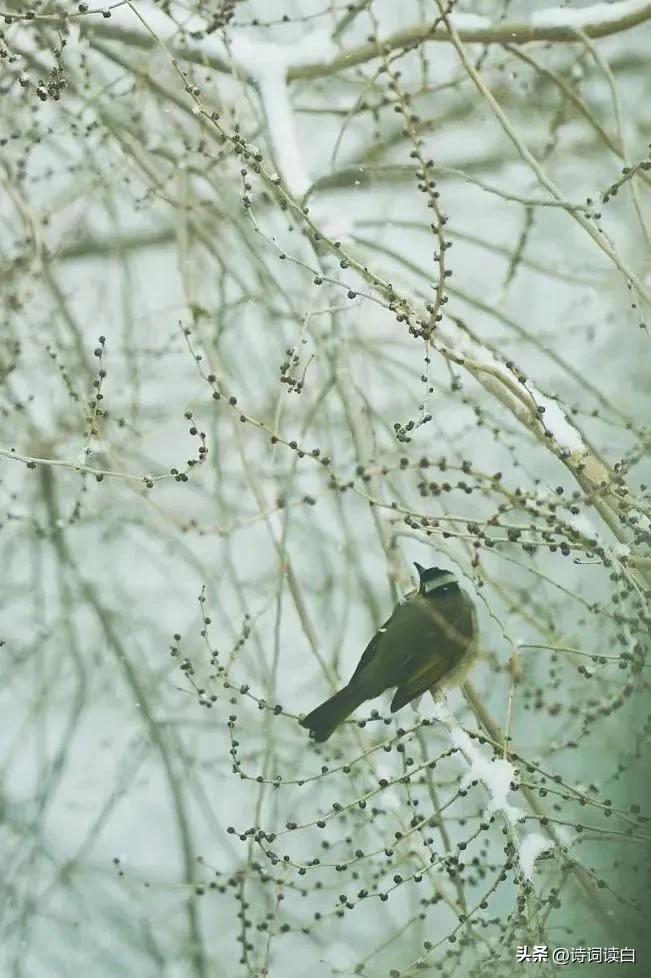 诗词读白春日暖阳题图赋诗一组