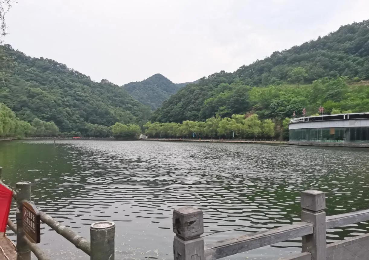 重渡沟音乐完整版,重渡沟菩提树