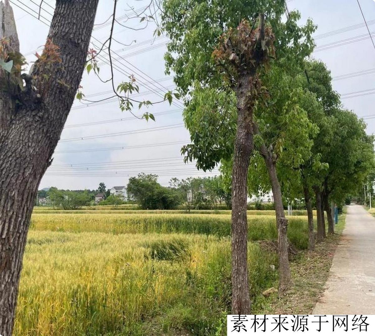 南京摆摊创业的真实经历,90后大学生地摊创业记