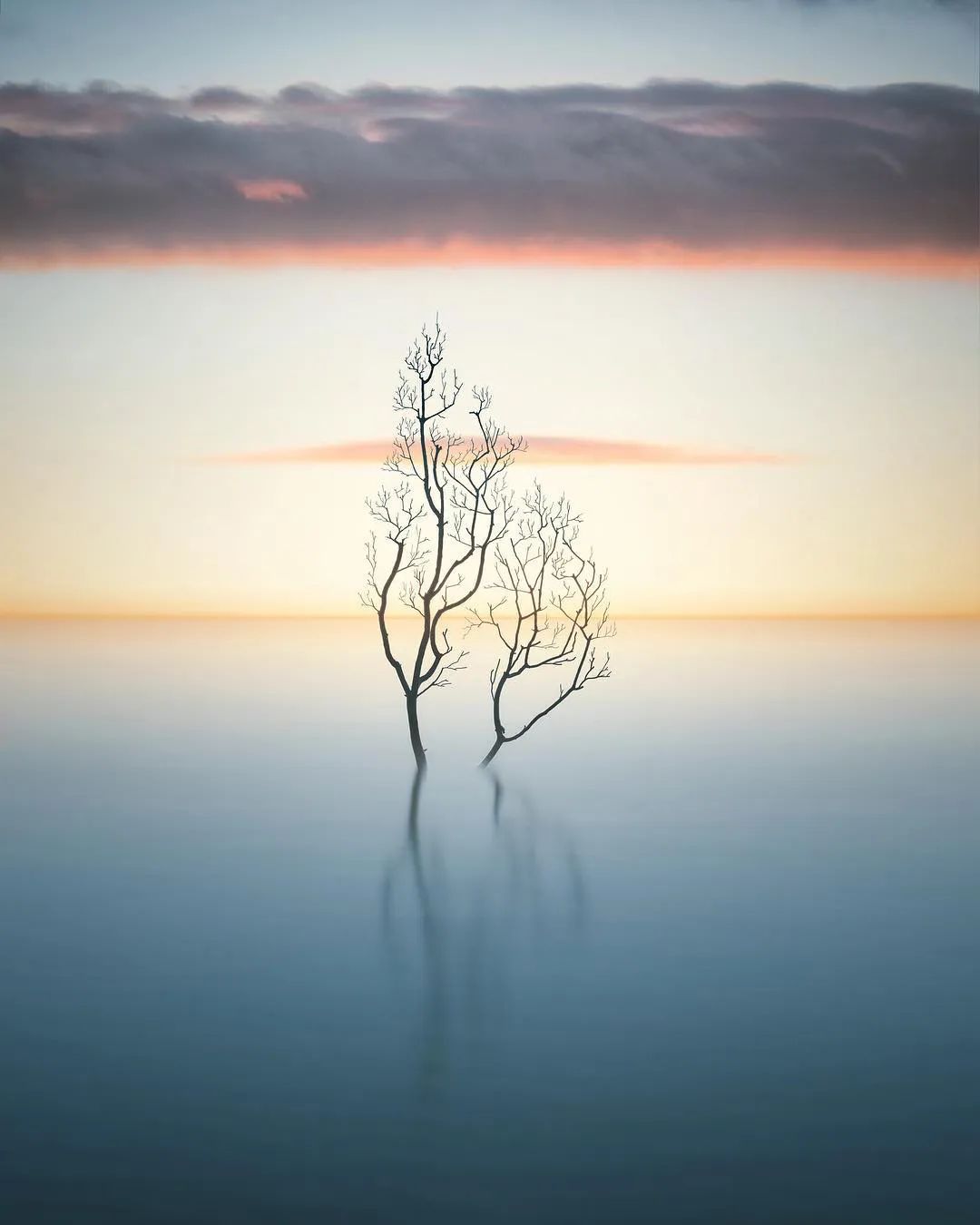 看了他的摄影作品,感觉被“治愈”了