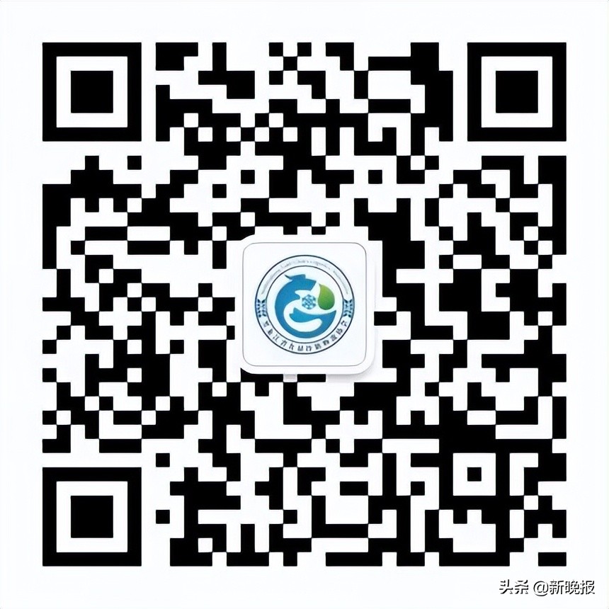 哈尔滨市商务局网站,哈尔滨购物商城哪个最好