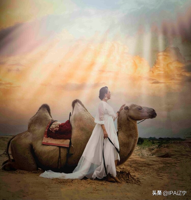 国际摄影协会创作基地草甘沙漠IPA辽宁摄影作品展示（第一期）