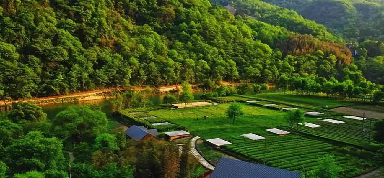 氧居田园山水一个值得你去体验的康县