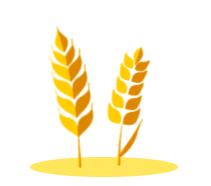 田联阳光幼儿园,田联阳光少儿趣味体适能