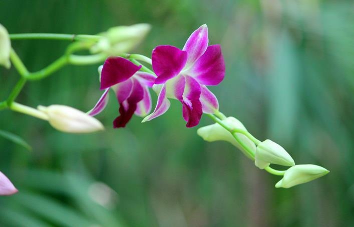 哪四种破财面相,容易破财什么意思