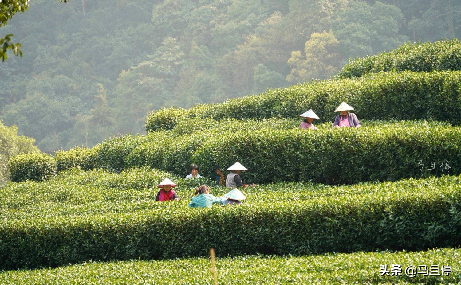 杭州五月最佳旅行地清单,四月西湖旅游攻略