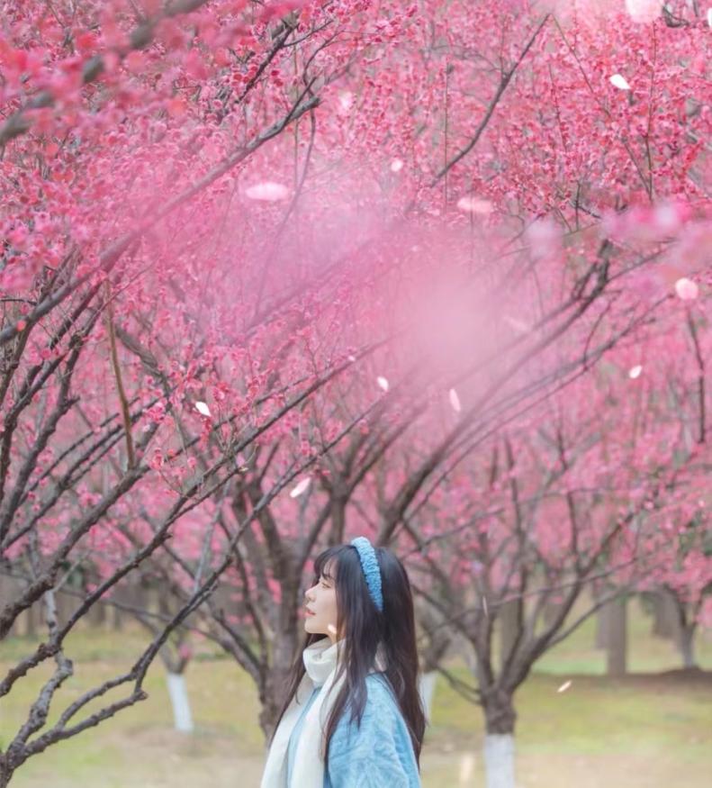 郁金香主题公园稻草人,2022年郁金香花海贵州