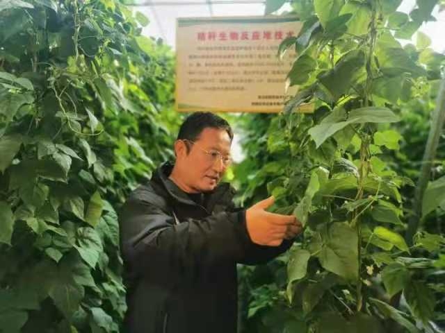 最美公务员马学锋,学习最美公务员先进典型事迹