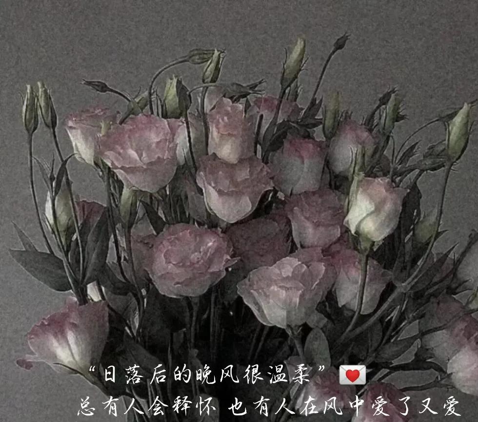 看着就哭的虐心文字，伤感入体，痛彻心扉