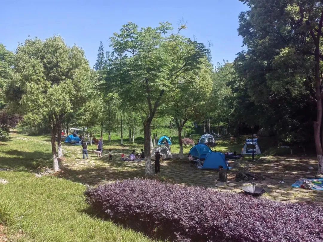 五一武汉最火爆的地方,武汉经开区免费好玩的地方