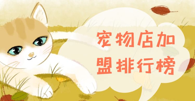 2023年必火的创业项目加盟,宠物店加盟招商排行第一