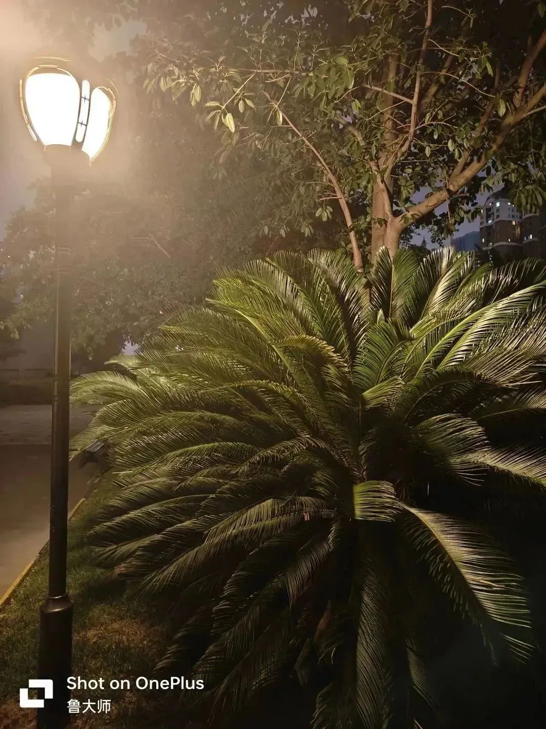 一加ace2pro深度评测,一加Ace2Pro评测视频