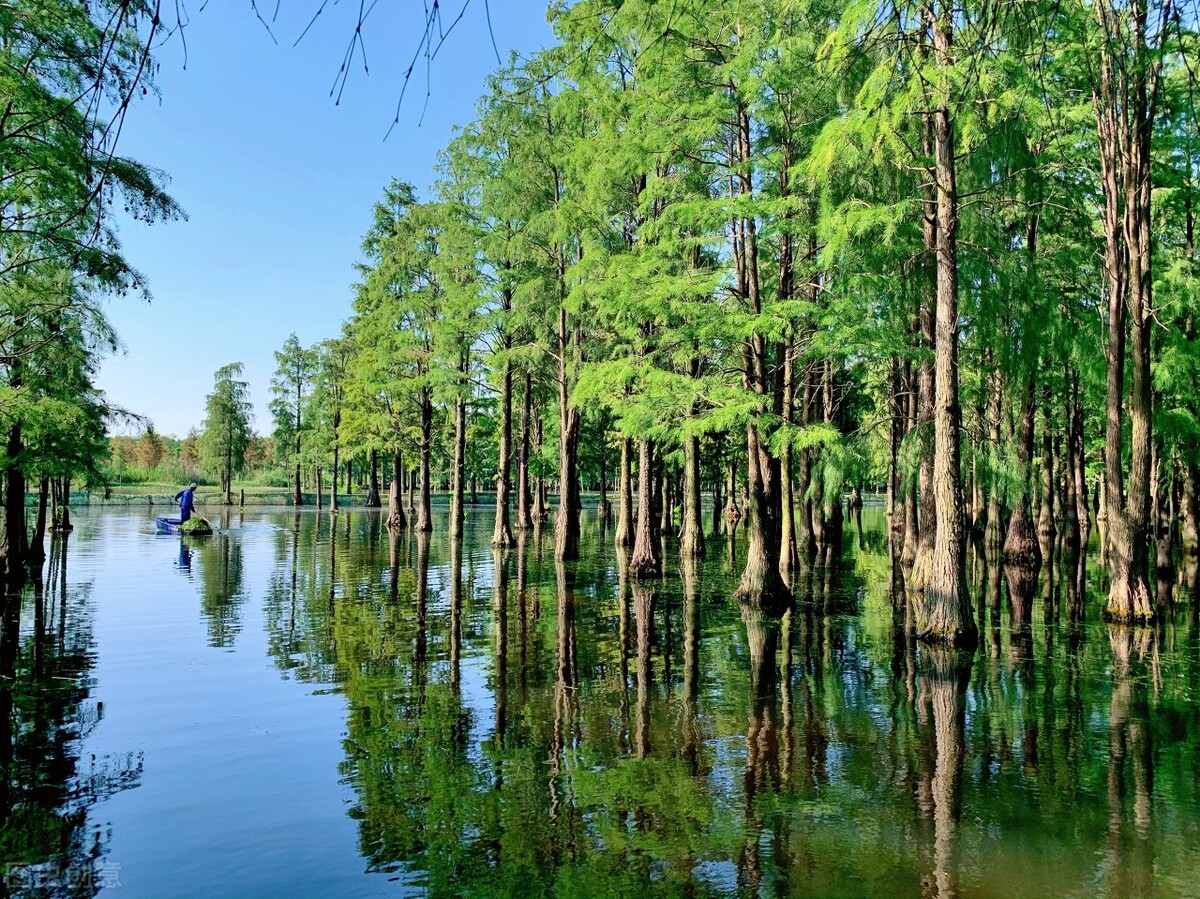 上海国庆值得去玩的地方推荐,上海十一游玩推荐免费