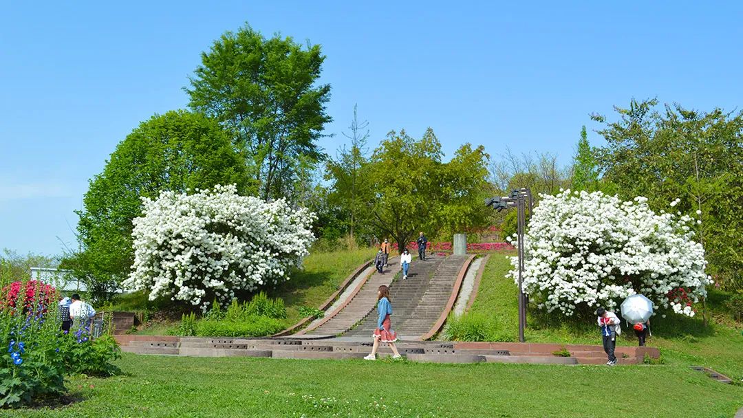 花卡特惠,新春钜惠不容错过