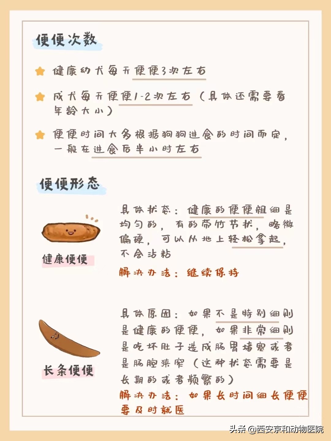 狗狗健康的便便是怎么样的,狗狗健康自测指南