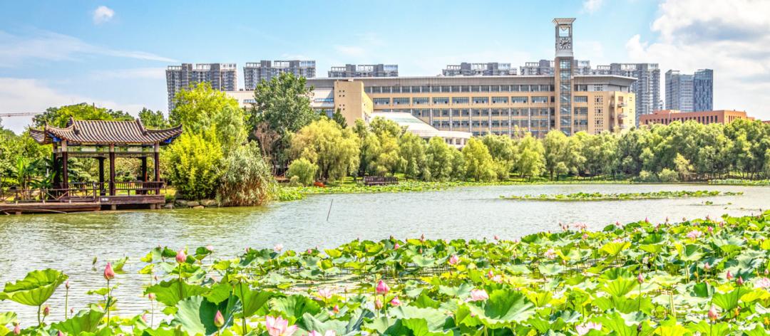 湖北大学进步神速,湖北省武大华科名次