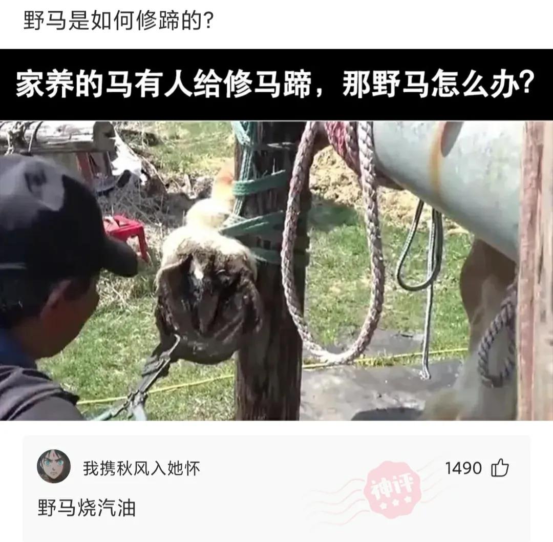 别人找你砍拼多多怎么回怼,朋友叫你拼多多砍一刀神回复