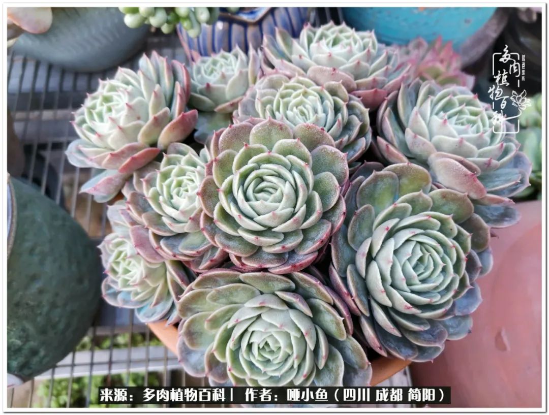 看世间繁华品一生,看世间繁华品人生美味