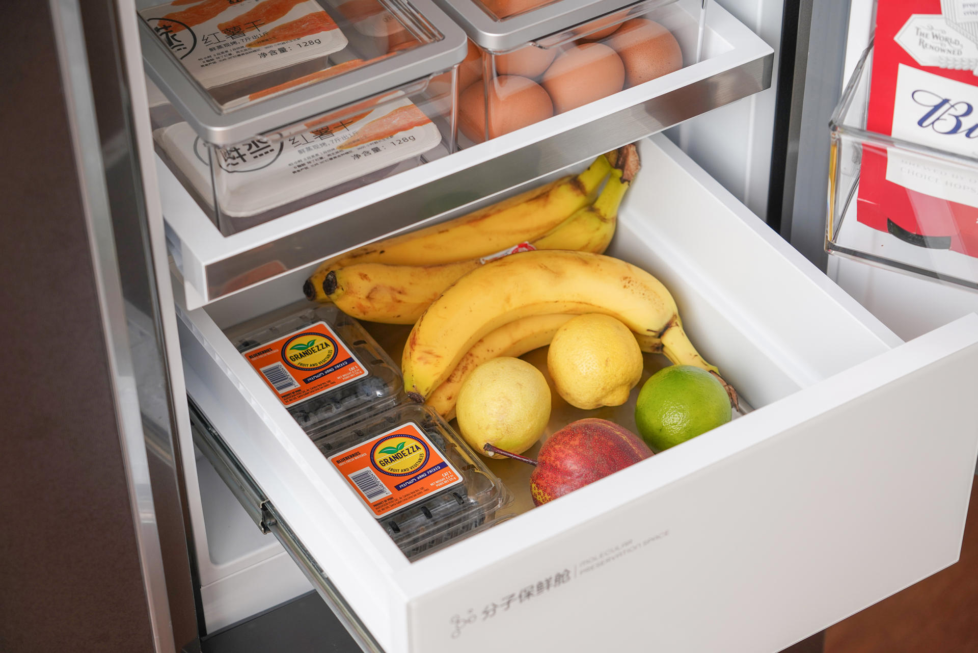 tcl格物冰箱q10评测,tcl格物q10拆解