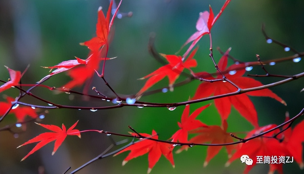 期货孟德稳谈日内入场点,期货操作技巧在线学习