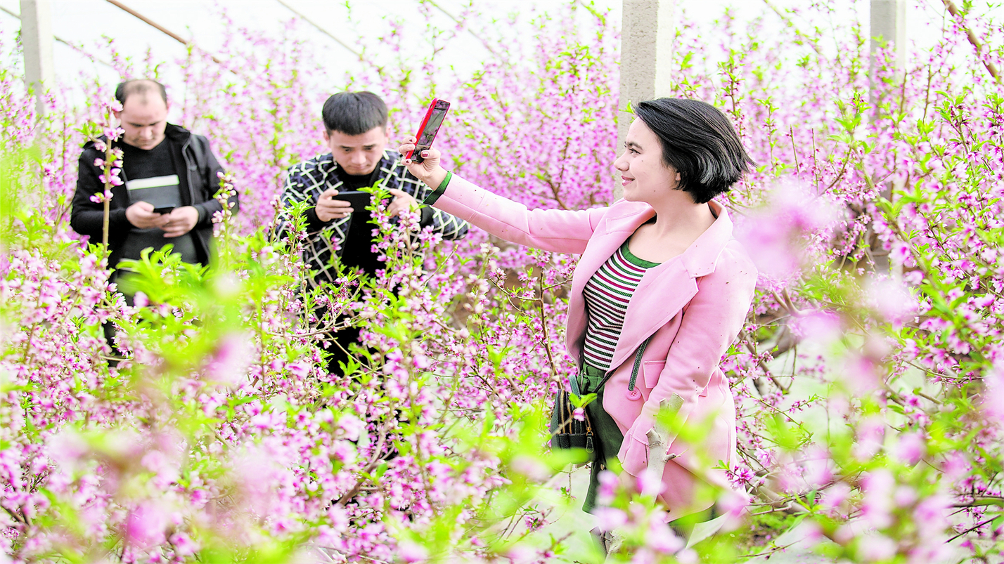 春情春思春景赏，春思春念春日长