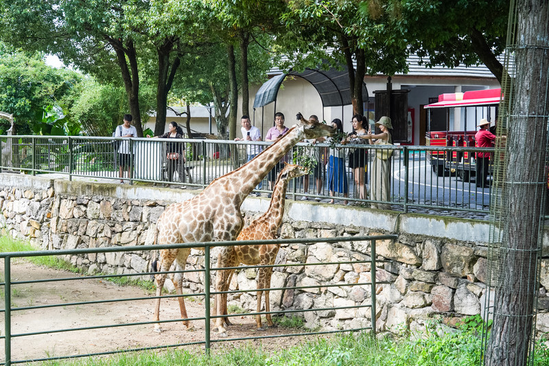 安吉中南百草园二天一夜攻略,安吉中南百草原刺激游乐项目