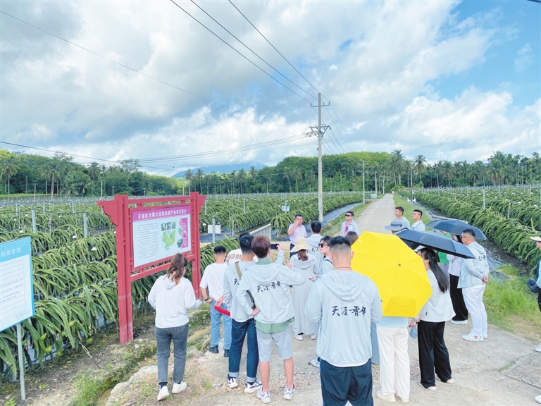 三亚市创新创业人才,海南省三亚市人才创业基地入住