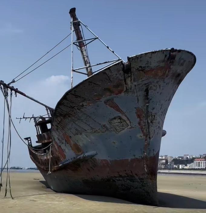 船长詹其雄直播带货,中国船长詹其雄直播嘉年华