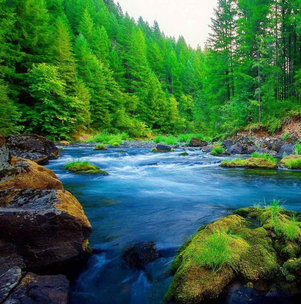 高考英语短语记忆方法,高考英语必背短语句型