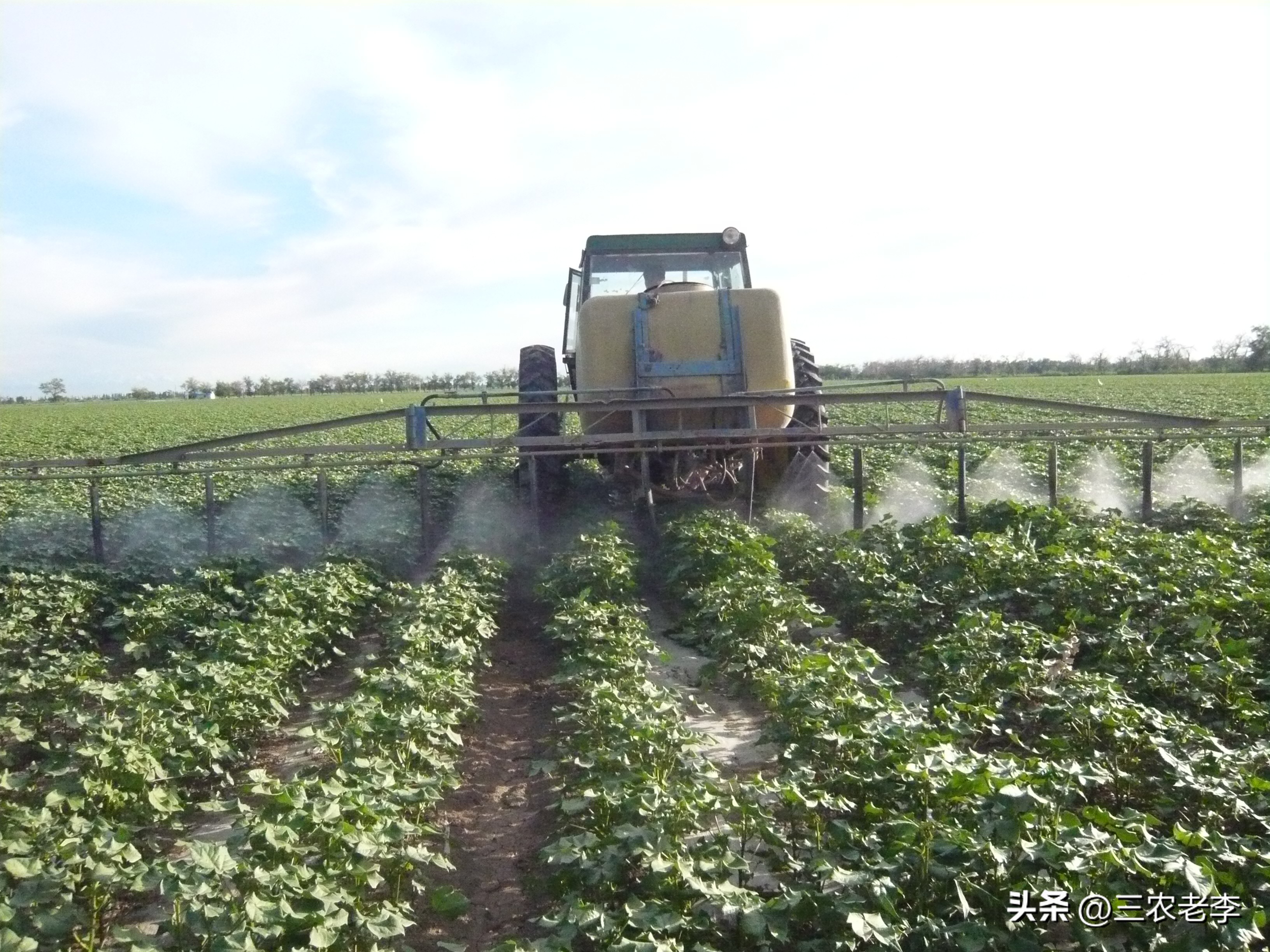 租金一般占成本的多少比较合算,租金收益多少以上才不亏