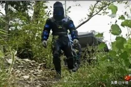 巨型网纹蟒蛇,680斤网纹蟒蛇真实视频