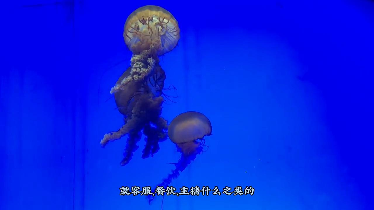 庐江真实工资,庐江工资最高的工作是什么