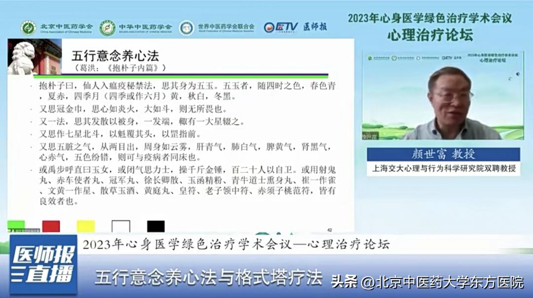 2023年心身医学绿色治疗学术会议顺利召开