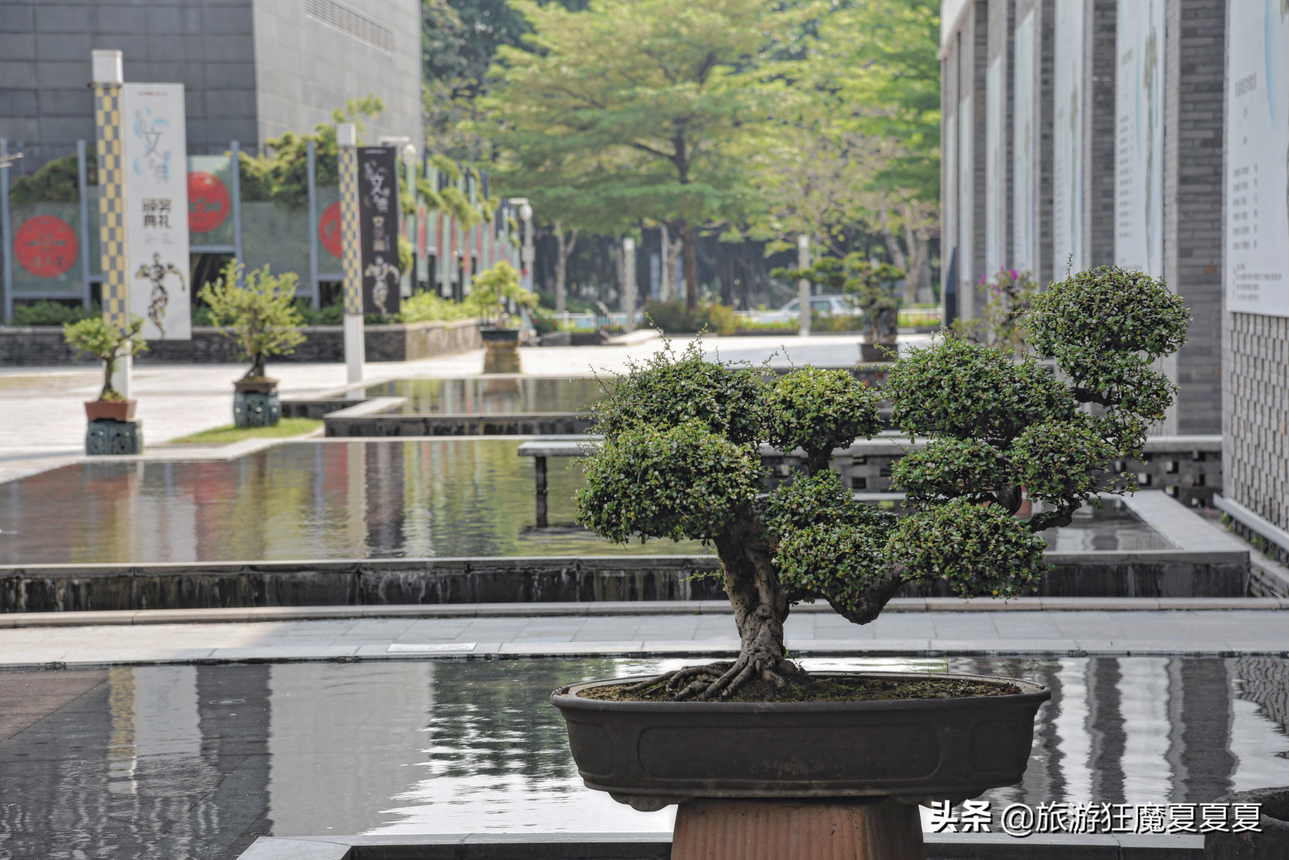 广东北滘多繁华？一个镇的文化中心投资竟上亿，比很多地级市还好