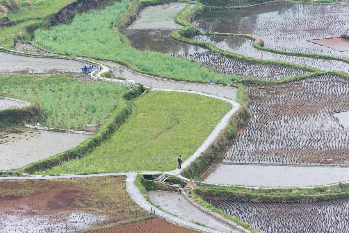 农村未来的出路在哪里,农村未来打工的出路