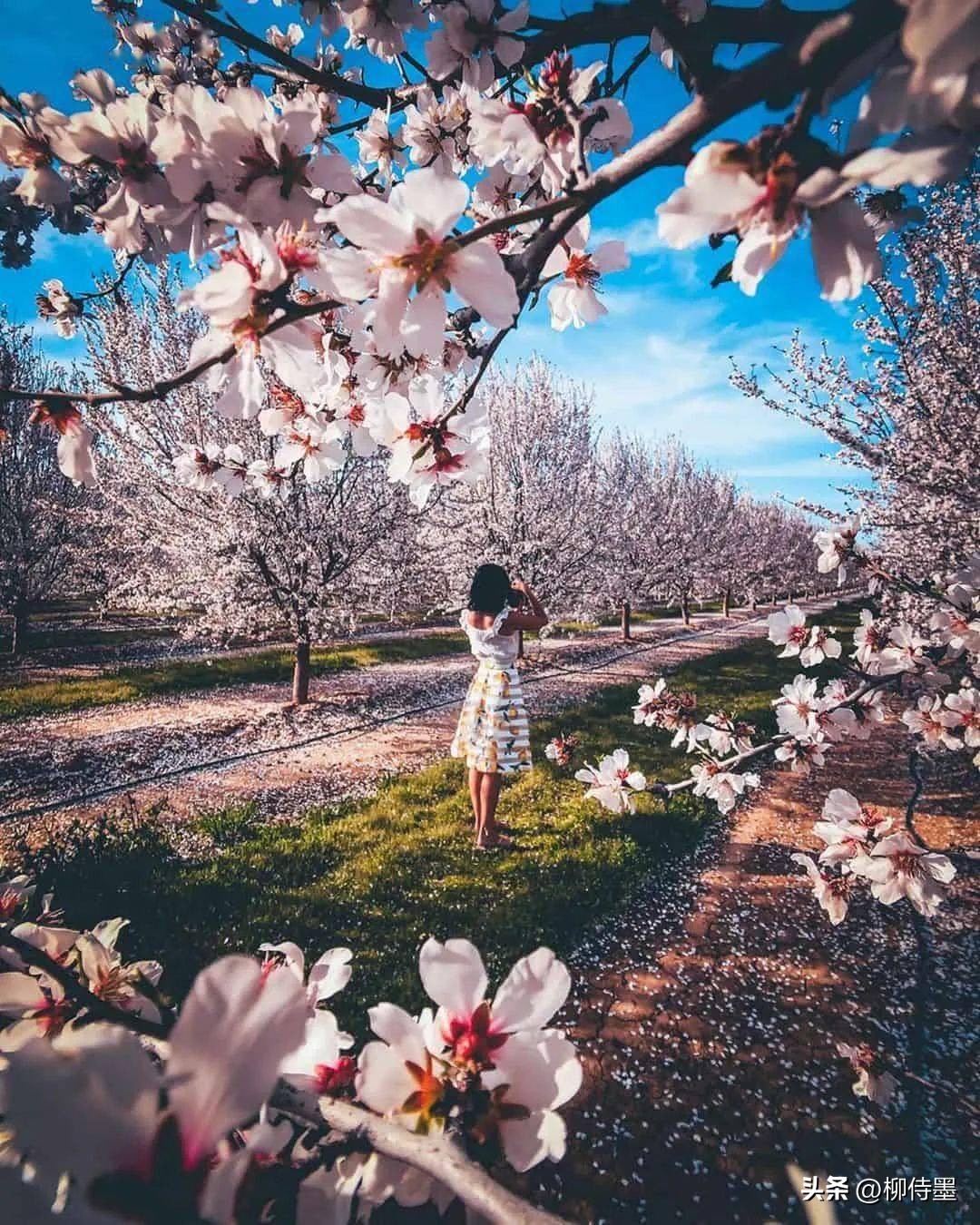 手机摄影自学入门必背口诀,一张相片拍出大片的感觉教程