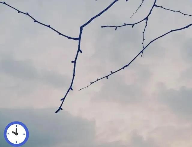 沉浸式体验独居,体验老人生活的第3天