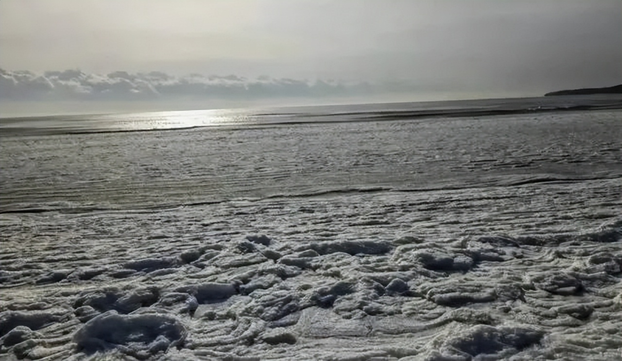 辽宁省见义勇为勇士,辽宁见义勇为最新消息