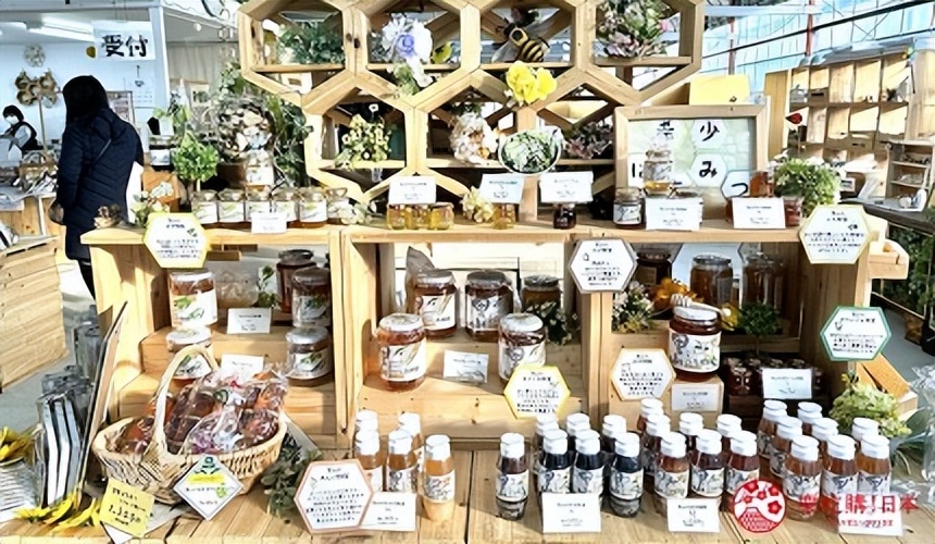 冈山津山,冈山区景点