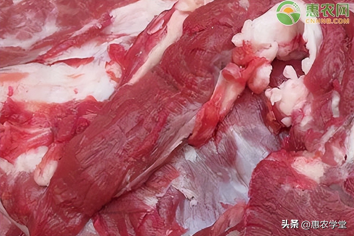 七台河猪肉价格多少钱一斤,贵阳猪肉价格今天多少一斤