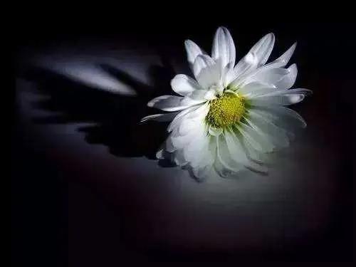 2023准备入坑！辞职、回家，全职短视频创业，真的正确吗