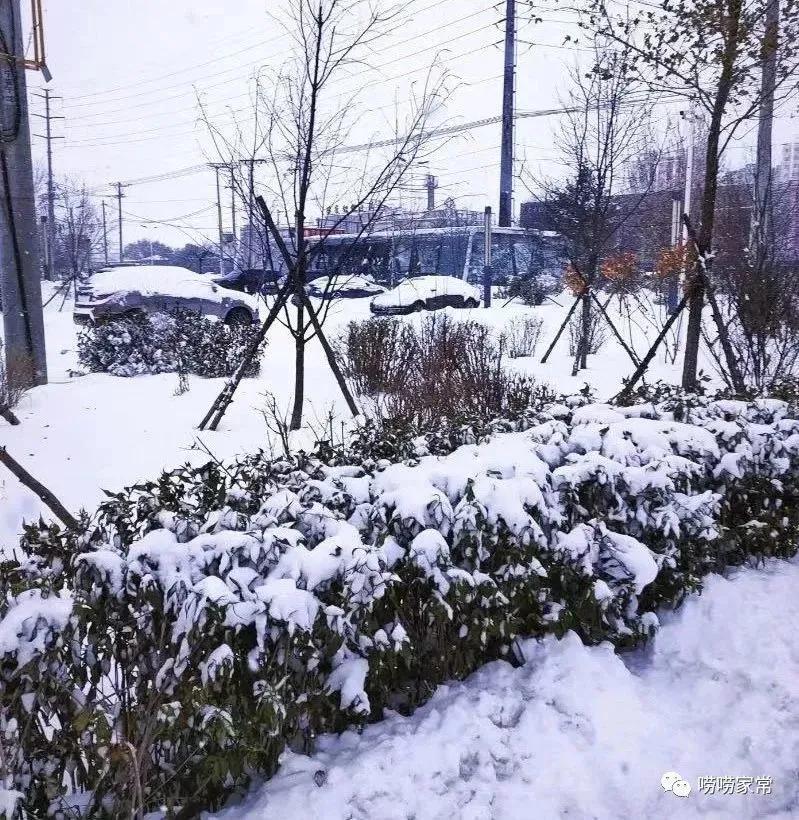 东北的冬天真实的样子,东北人的样子