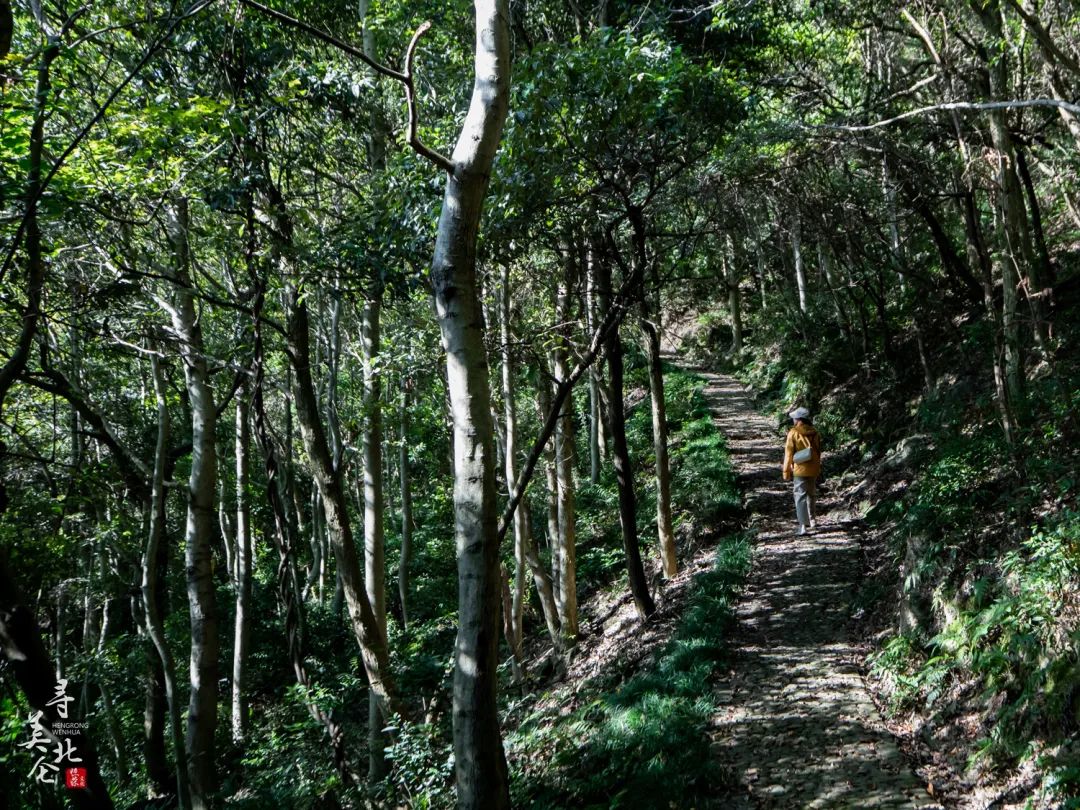 北仑徒步爬山推荐,北仑冷门爬山路线