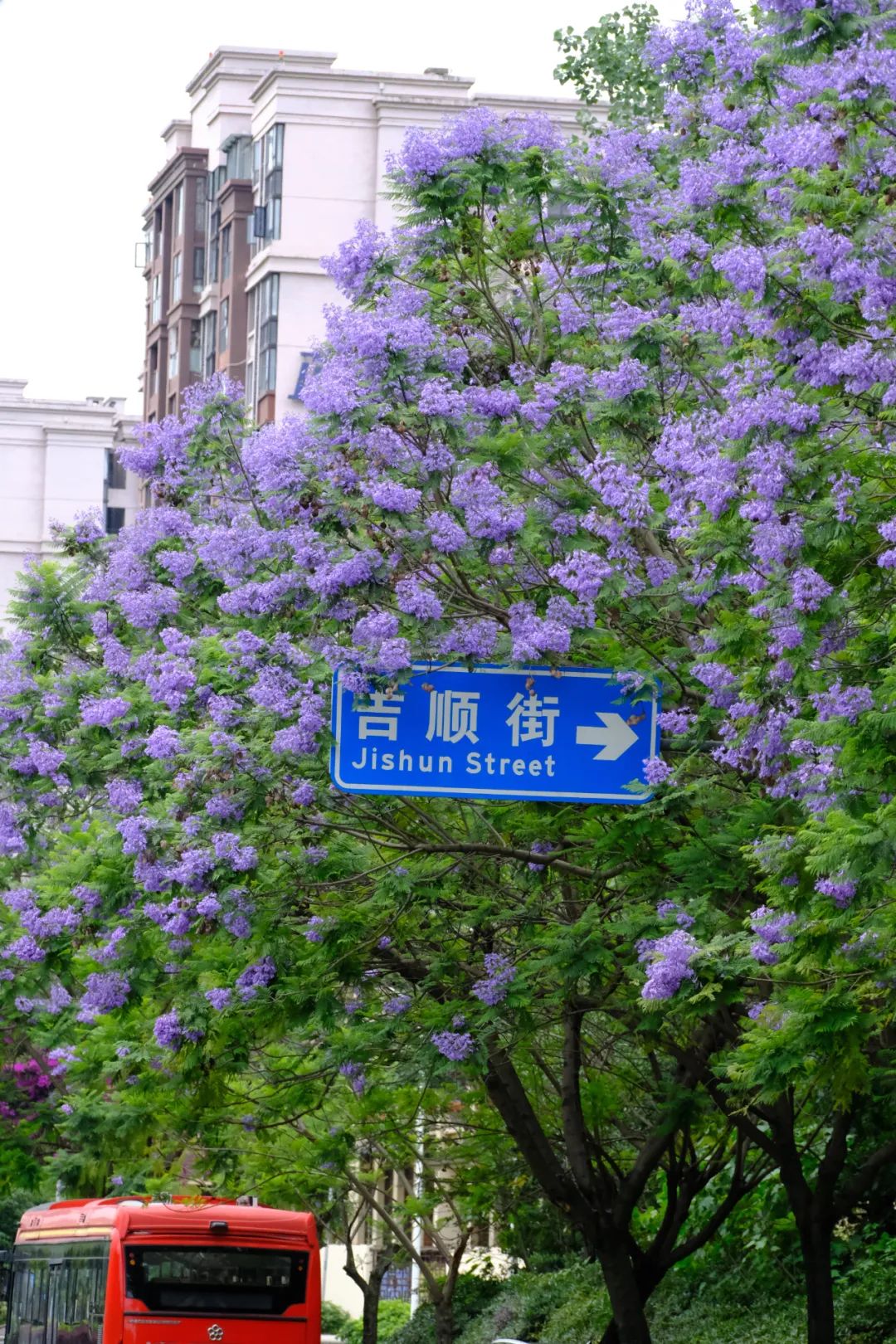 成都有哪些好玩的网红打卡地,成都网红打卡地最新旅游景点