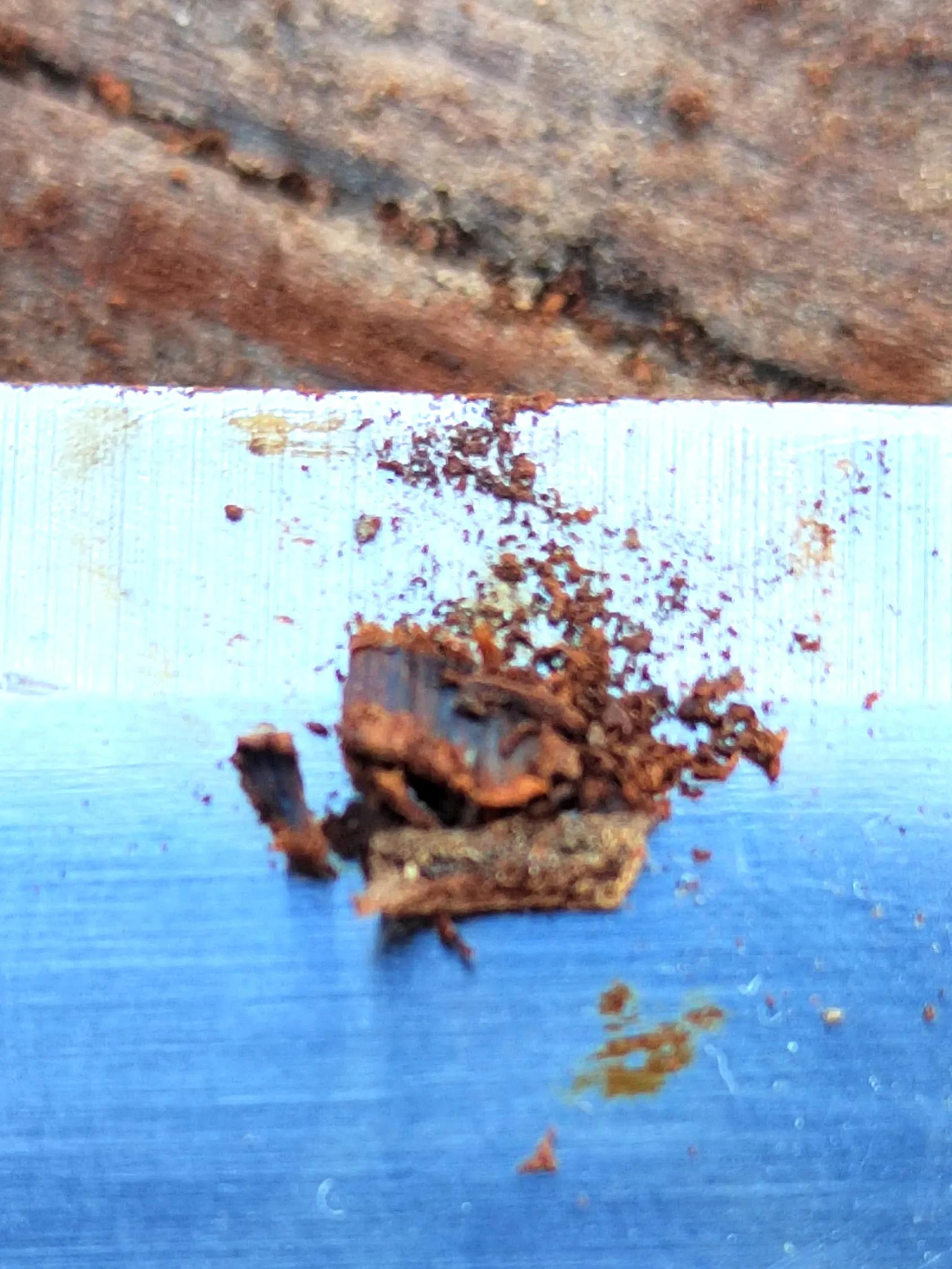 白奇楠莺歌绿奇楠黑奇楠哪个好,黑奇楠和白奇楠沉香哪个好